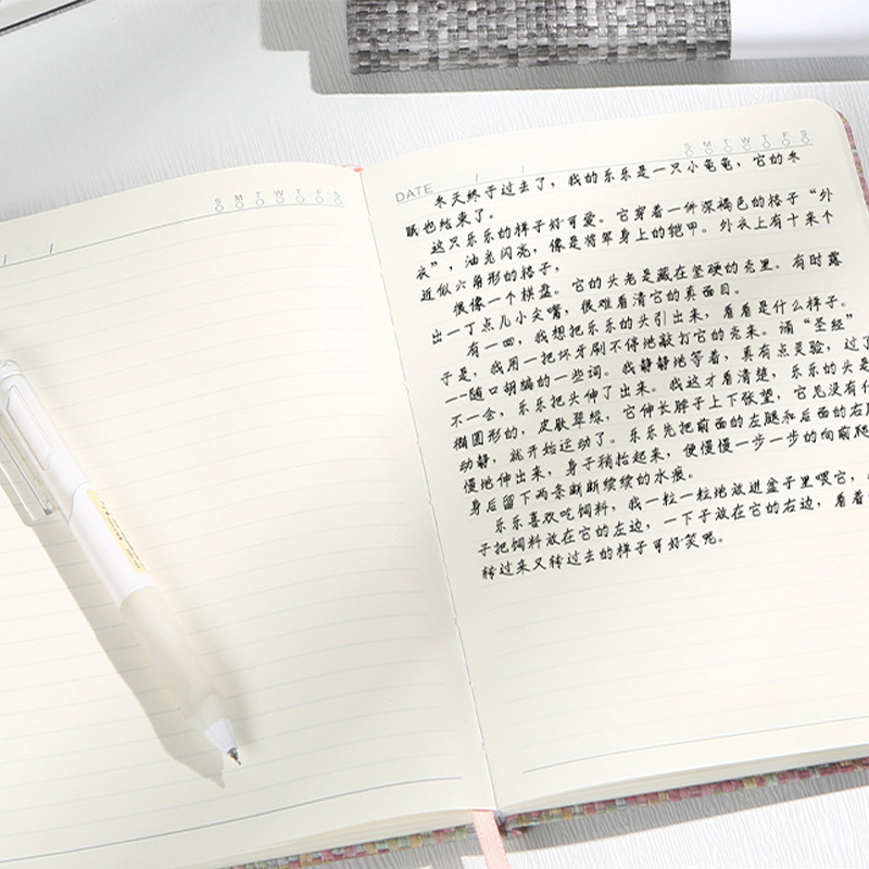 A5 notitieboekje imitatie linn - Notebook Dotted A5 recensie en prijs